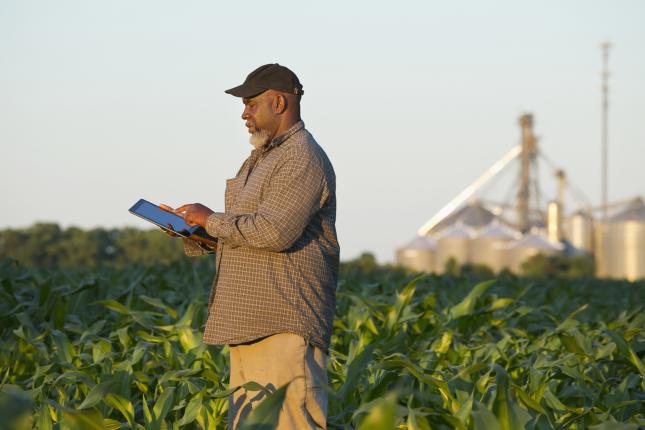 Middle aged farmer standing in a crop field with a tablet.